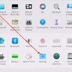 Screenshot-2022-02-13-at-23.26.07