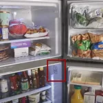 refrigerator-LG-Top-freezer-information-sheet-location