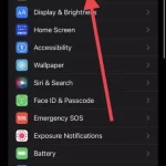 Is-there-an-option-to-change-the-Google-Maps-voice-on-iPhone