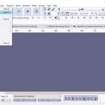 How to remove echo without a plug-in in Audacity