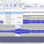 How to remove echo without a plug-in in Audacity-8