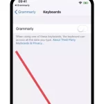 How to set up the Grammarly keyboard on your iPhone-2