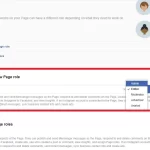 Is there an option to add an admin to Facebook page via browser-2