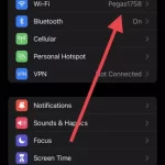 How-to-change-the-IP-address-on-your-iPhone