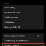 How to see blocked numbers on an iPhone-1