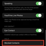 How to see blocked numbers on an iPhone-3