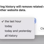 How to clear search history on Safari on Mac-2