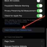 How to clear search history on iPhone-1