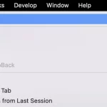 How to delete specific items from your Safari history-1