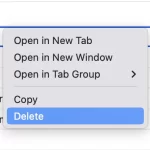 How to delete specific items from your Safari history-2