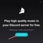 How-to-add-a-music-bot-to-Discord-4