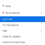 How to change your name on the Zoom app on a PC 1