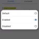 How-to-enable-screenshots-in-Chrome-incognito-mode-2