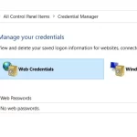 How to find saved passwords in Windows 10-3