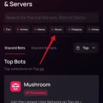 How-to-play-music-on-Discord-on-mobile-device