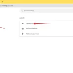 How to prevent a prompt to save passwords in Google Chrome – 2