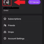 How-to-see-your-followers-on-Twitch-mobile-app-1