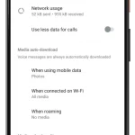 3switch-off-WhatsApp-auto-download-on-Android3_google-pixel4-clearlywhite-portrait