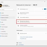 How-to-forget-a-saved-network-in-Windows-11-in-two-ways-5