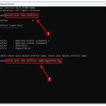 How-to-remove-multiple-saved-Wi-Fi-networks-on-Windows-11-2