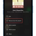 How-to-use-Enhance-on-Spotify-5