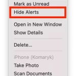 What-to-do-to-mute-chats-one-at-a-time_