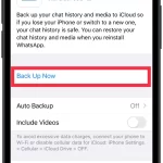 delete-WhatsApp-backup-3