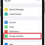 switch-off-WhatsApp-auto-download-on-iPhone