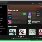 How-to-cancel-Spotify-Premium-via-the-website-1