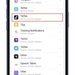 How-to-turn-on-TikTok-notifications-via-iPhone-settings-2