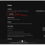 How-to-change-Spotify-language-on-a-PC-3