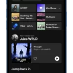 How-to-change-Spotify-language-on-iPhone-1-696×1299-1
