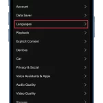 How-to-change-Spotify-language-on-iPhone-2-696×1299-1