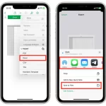 How-to-convert-the-Apple-Numbers-table-to-Microsoft-Excel-on-iPhone-or-iPad-2