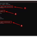 How-to-create-a-guest-account-in-Windows-11-via-Command-Prompt-1