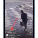 How-to-remix-photos-or-reels-on-Instagram-11