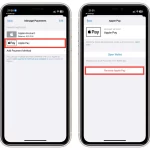 How-to-remove-a-credit-card-from-Apple-ID-using-iPhone-2