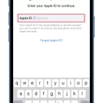 How-to-reset-your-Apple-ID-password-using-a-borrowed-device-3