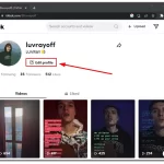 How-to-change-TikTok-profile-picture-using-a-web-browser-2