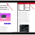 How-to-close-a-split-view-of-Safari-with-multitasking-buttons1-1