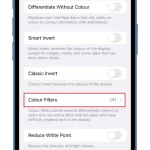 How-to-use-Color-Filters-on-iPhone-1