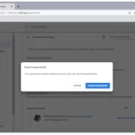 Confirm-export-passwords