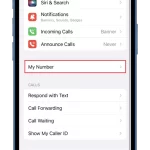 How-to-know-Verizon-phone-number-on-iPhone-3